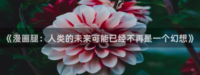 歪歪漫画sss在线观看下载